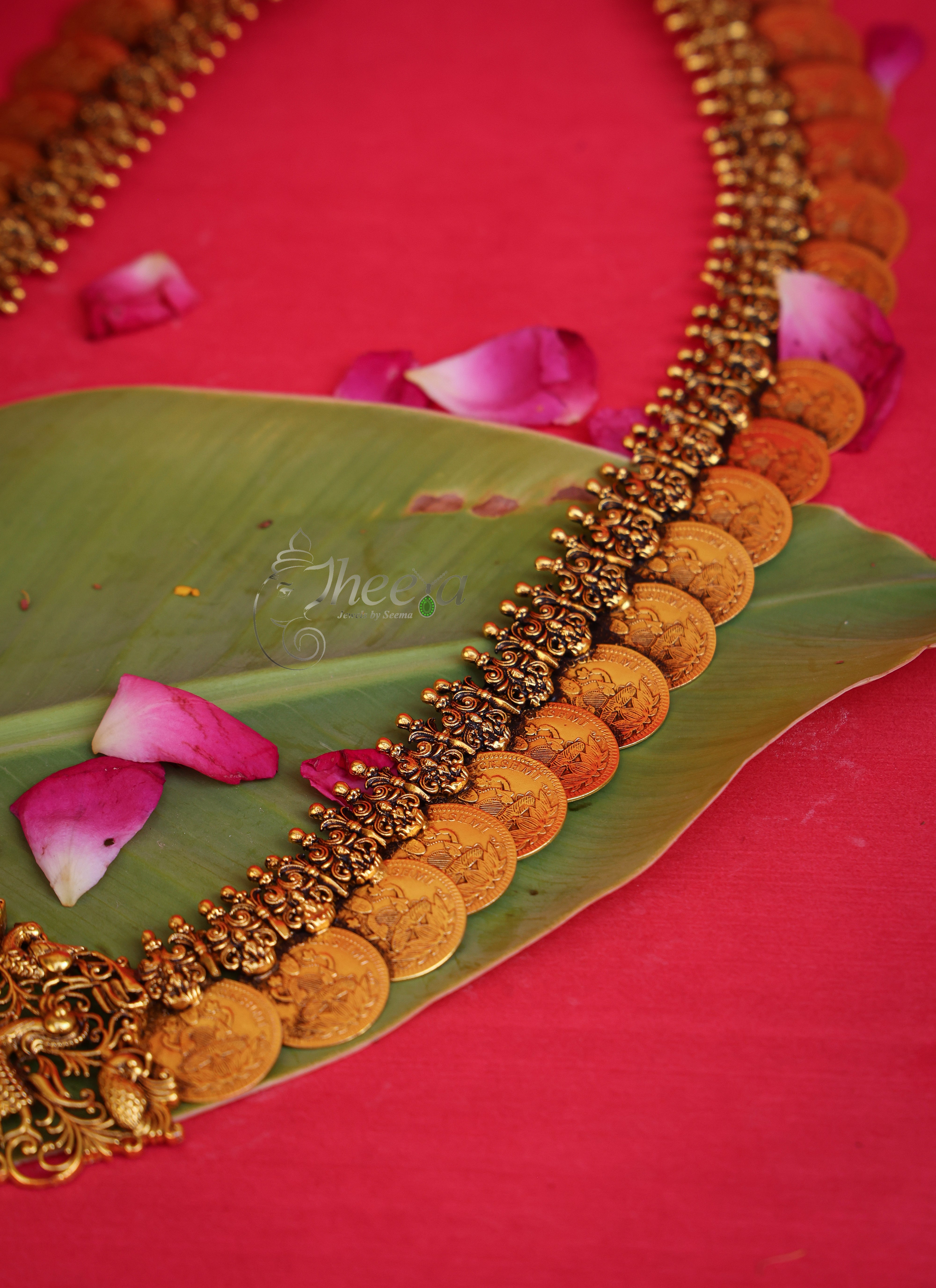 Temple Vilasam Long Kaasu Mala in Pure Silver, front view.